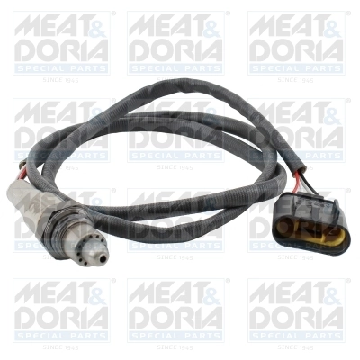 Oxygen Sensor